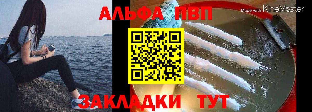 Альфа ПВП  Вход с VPN  Альфа ПВП СК КРИС  Великий Устюг  A-PVP VHQ  А ПВП СК 