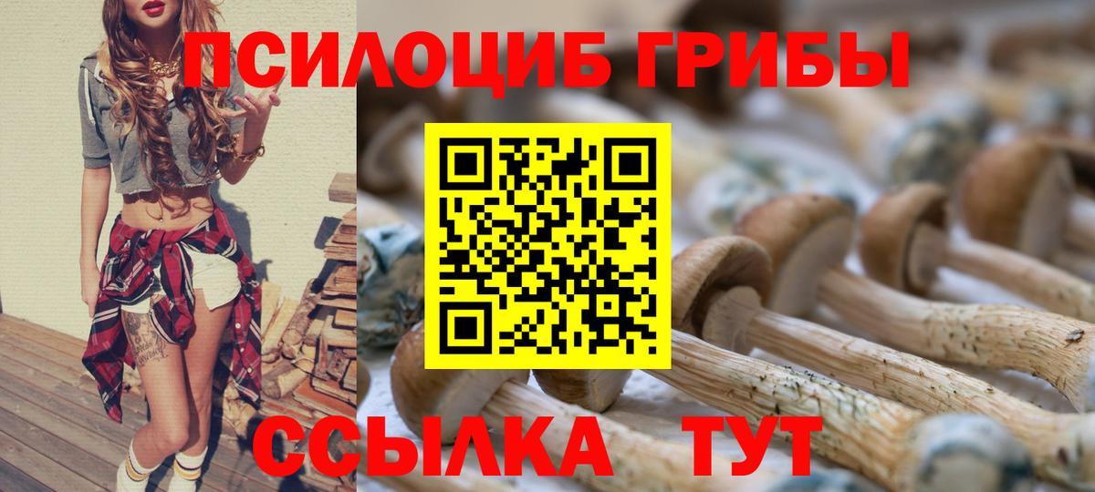 Псилоцибиновые грибы мухоморы Великий Устюг