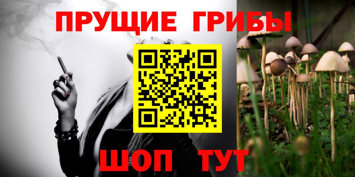 Псилоцибиновые грибы прущие грибы  Вход с VPN  Великий Устюг 